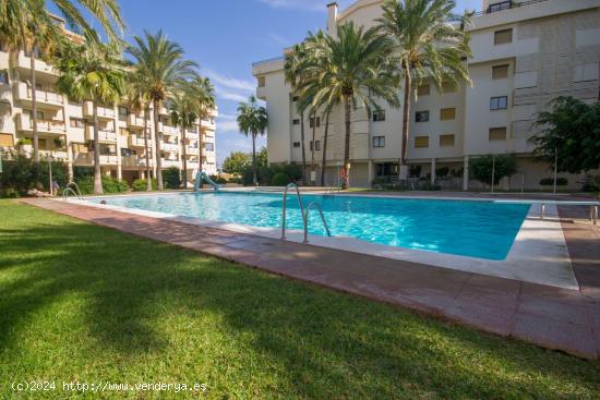  Apartamento en 1ª linea de playa de la Carihuela disponible para alquiler de larga temporada - MALA 