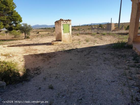 ¡¡¡¡CAMPO A 7KM DE PINOSO!!!! - MURCIA