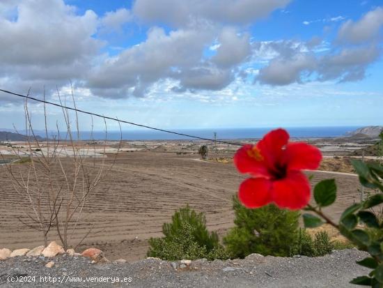 CASA RUSTICA CON VISTAS AL MAR Y PISCINA - MURCIA