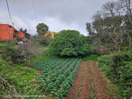  Terreno en Venta en Ravelo - SANTA CRUZ DE TENERIFE 