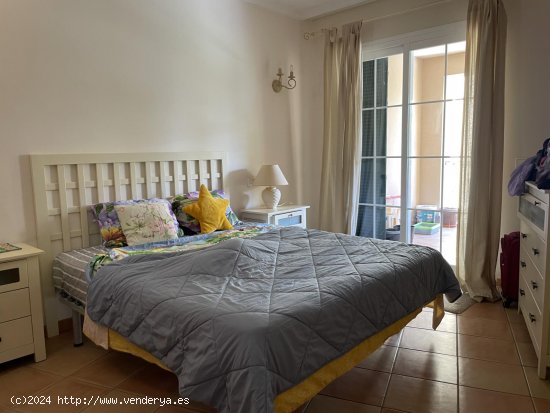Apartamento en alquiler en Calvià (Baleares)