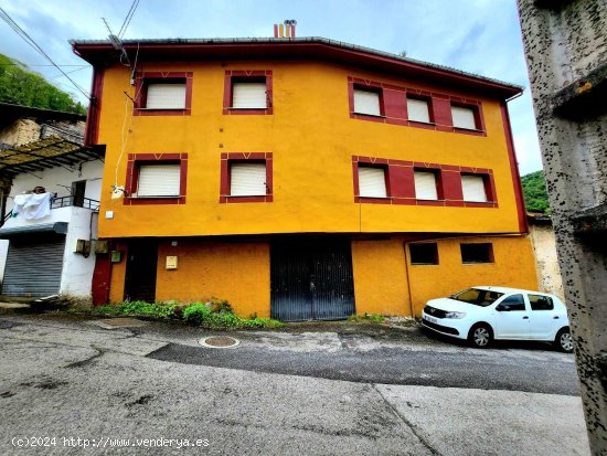Casa en venta en Cangas del Narcea (Asturias)