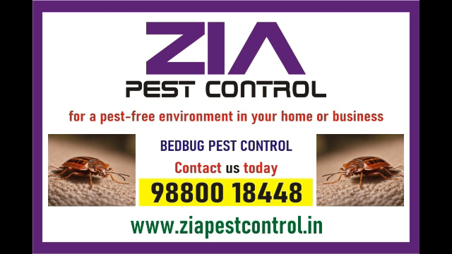  Pest Control service 