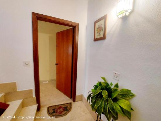 Maravillosa vivienda de 5 dormitorios y tres baños en el centro de Cádiz con ascensor. - CADIZ