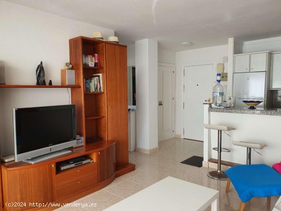 Apartamento en alquiler en Torrox (Málaga)