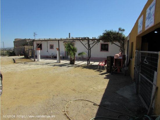 Villa en venta en Los Gallardos (Almería)