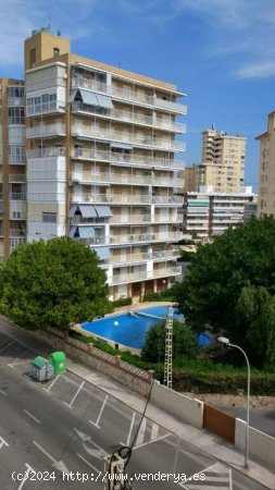Apartamento en Alquiler en Campello, El Alicante