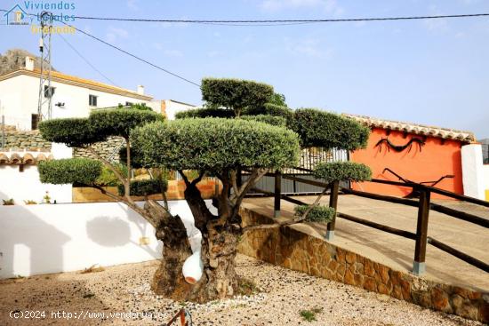 Espectacular complejo turístico rural en Villanueva del Trabuco, Málaga. - MALAGA
