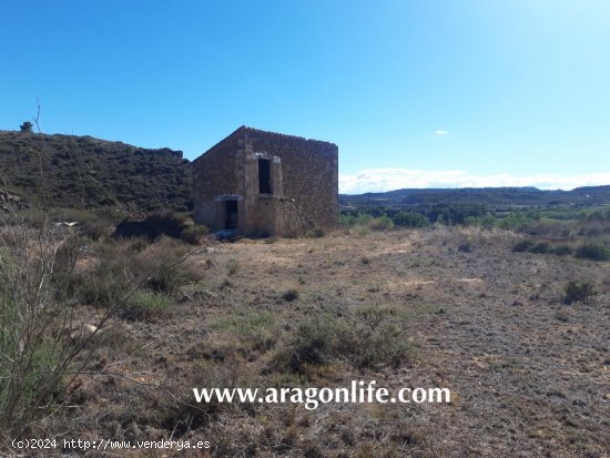 Finca en venta en Maella (Zaragoza)