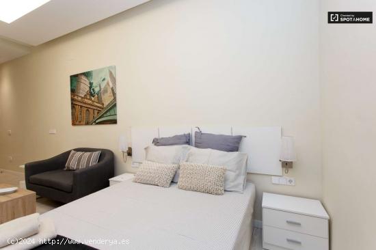 Acogedor apartamento, estudio muy bien amueblado en alquiler en Almagro - MADRID