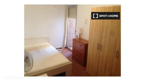Piso de 5 dormitorios en alquiler en Murcia - MURCIA