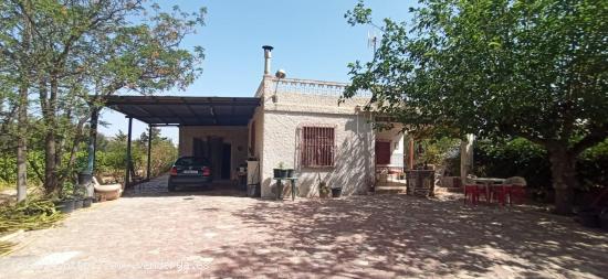 Casa de campo en Elche pedanias zona Llano de san jose - ALICANTE