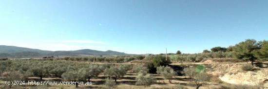 TERRENO EN HONDON DE LAS NIEVES - ALICANTE