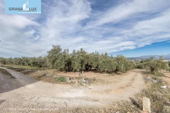 MAGNÍFICA PARCELA CERCANA A CTRA. DE URB. EL TORREÓN - GRANADA