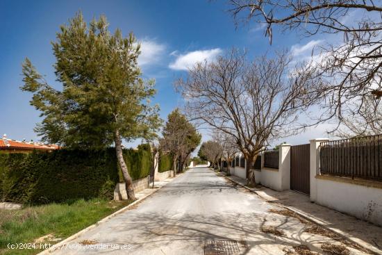 PADUL / URBANIZACIÓN CAHIZ DE SAN GREGORIO - GRANADA