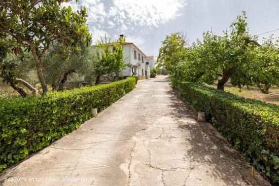 Espectacular finca en Moraleda de Zafayona!!!!!! - GRANADA