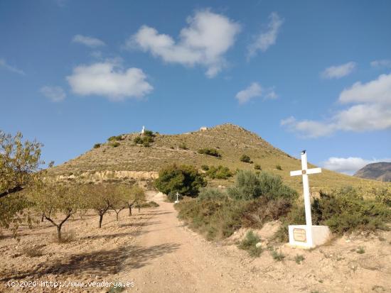 OPORTUNIDAD: Terreno SOLAR URBANO en Lorca zona Zarcilla de Ramos - MURCIA