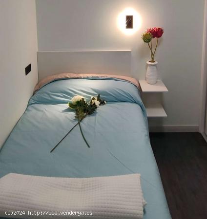 Se alquila habitación en piso de 4 habitaciones en alquiler en Salamanca - SALAMANCA