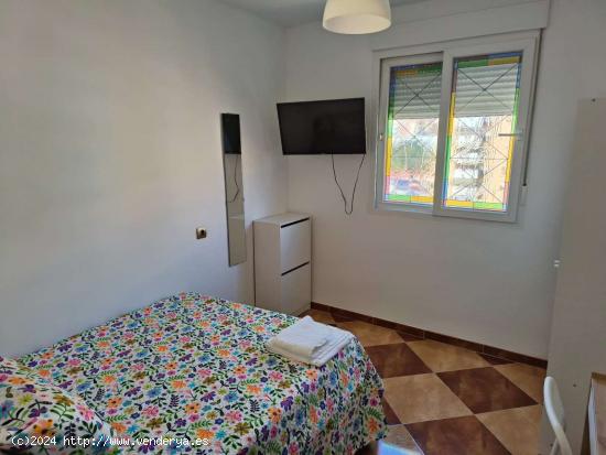 Alquiler de habitaciones en piso de 3 dormitorios en Pueblo Nuevo - MALAGA