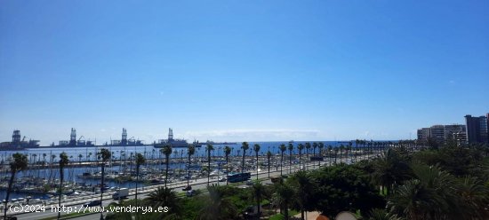 Piso en alquiler en Las Palmas de Gran Canaria (Las Palmas)