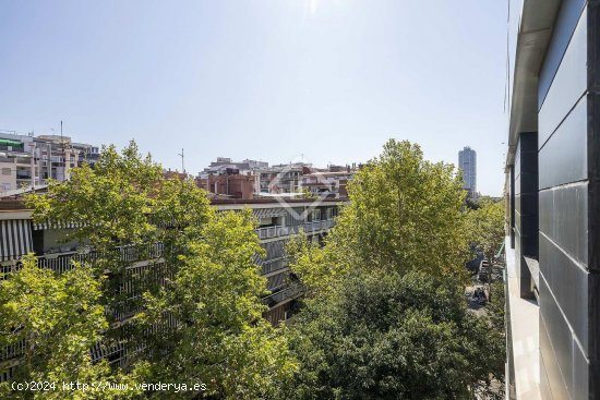 Apartamento en alquiler en Barcelona (Barcelona)