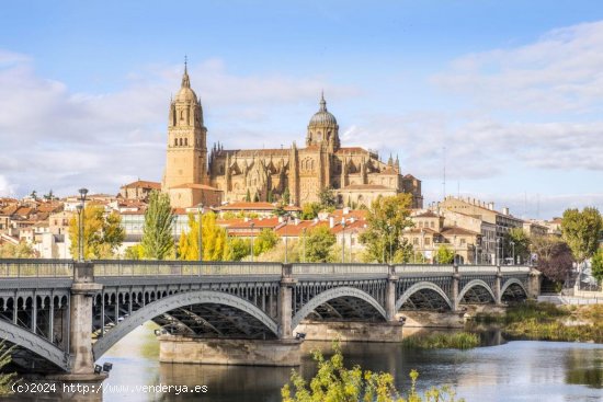 Garaje en alquiler en Salamanca (Salamanca)