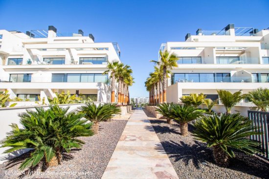 Apartamento en venta a estrenar en San Miguel de Salinas (Alicante)