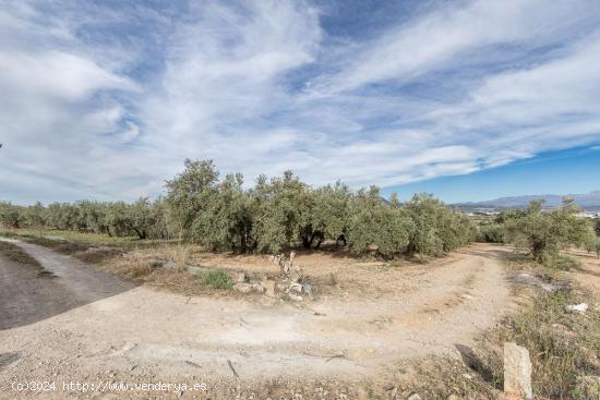 MAGNÍFICA PARCELA CERCANA A CTRA. DE URB. EL TORREÓN - GRANADA