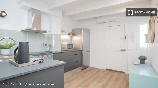 Apartamento de 2 dormitorios en alquiler en El Raval, Barcelona - BARCELONA