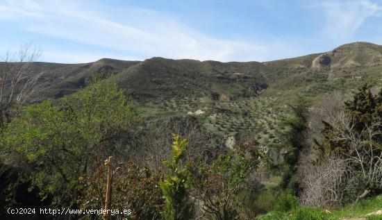 Se Vende en Dudar - GRANADA