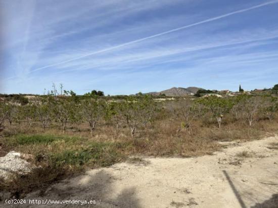 Parcela de terreno cercano al casco urbano - ALICANTE