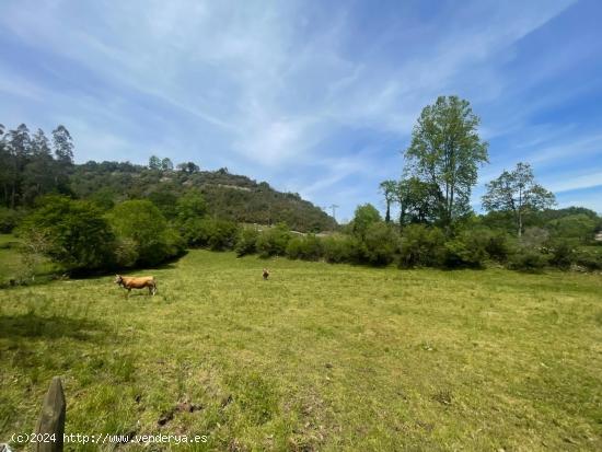 TERRENO RUSTICO EDIFICABLE EN ROIZ - VALDALIGA - CANTABRIA