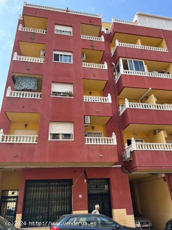Apartamento para entrar a vivir en Torrevieja - ALICANTE