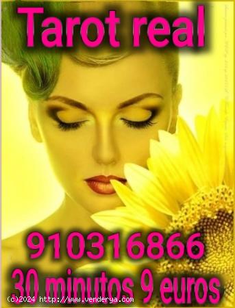  Españoles tarot profesional y videntes  