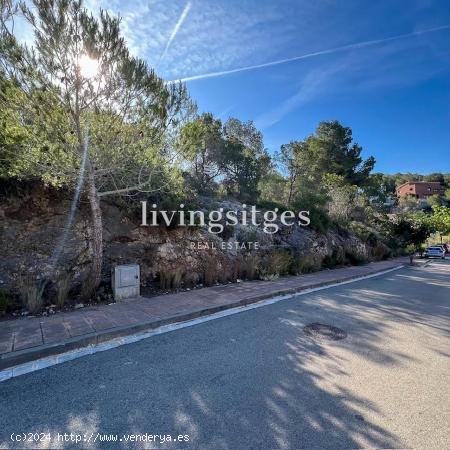  TERRENO EN MAS ALBA - BARCELONA 