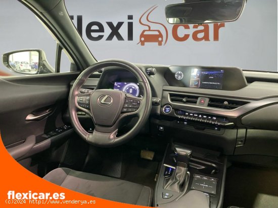 Lexus UX 2.0 250h Business - Toledo