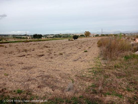  Espectacular finca rústica con proyecto finalista - BALEARES 