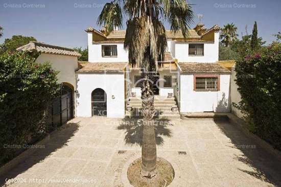 Cortijo con edificación de 1.300m2 - La Campiña