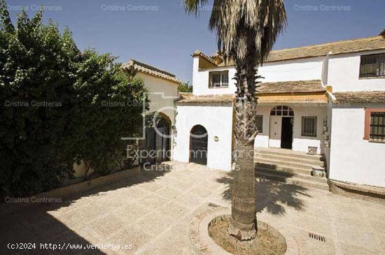 Cortijo con edificación de 1.300m2 - La Campiña