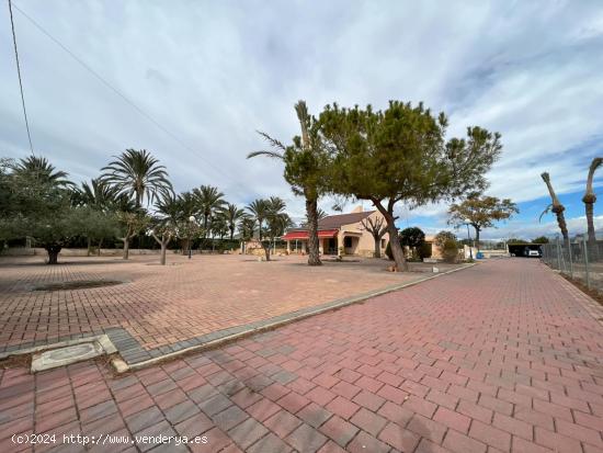 CHALET EN ZONA PERLETA - ELCHE - ALICANTE