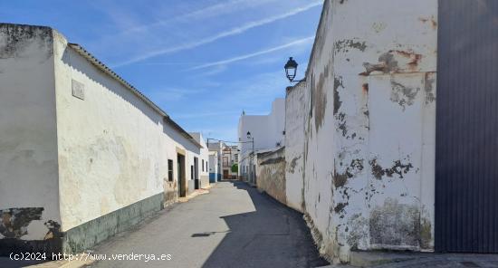 VENTA DE SOLAR URBANO EN CANTILLANA (SEVILLA) - SEVILLA