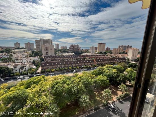 Estupenda vivienda en urbanización en la zona del Cabo de las Huertas. - ALICANTE