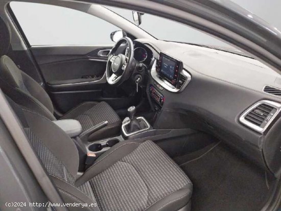 Kia XCeed Nuevo  1.0 T-GDi Drive 120CV (MY23) - Señorío de Illescas