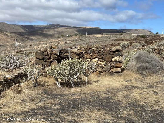 SE VENDE Parcela/Finca en Venta en Haría - Haría