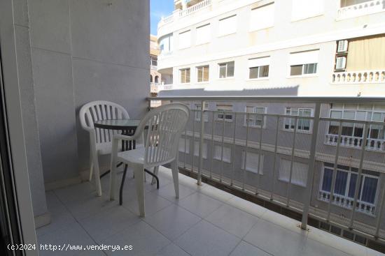 Estudio en zona Habaneras de Torrevieja - ALICANTE