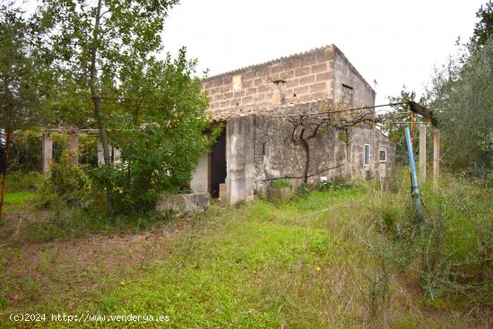 Finca rústica con casa de campo  y espectaculares vistas a la Tramuntana  en Muro - BALEARES