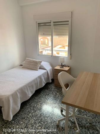  Alquiler de habitaciones en piso de 4 habitaciones en San Vicente del Raspeig - ALICANTE 