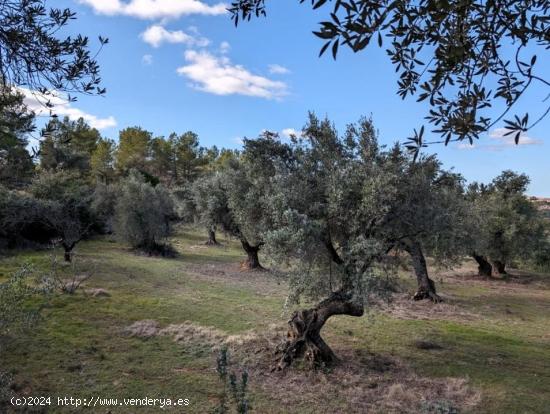 Se Vende en Arens de Lledo - TERUEL