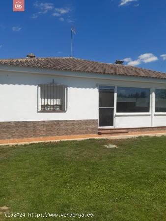  PARCELA DE 1000 METROS CON CASA Y JARDIN - ALBACETE 