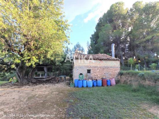 Terreno agrícola en venta con pozo propio y suministro de agua potable en Agullent - VALENCIA